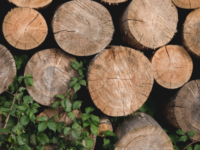 2020 | SARUNAS MEŽĀ | Covid - 19 ietekme uz koksnes produktu tirgu