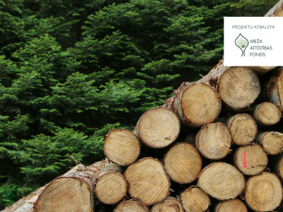 SARUNAS MEŽĀ | Kas jānoskaidro pirms mežizstrādes darbu uzsākšanas?