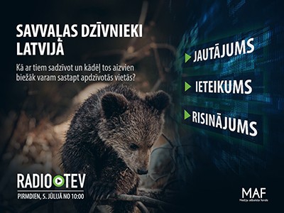 Jautājums. Ieteikums. Risinājums | Savvaļas dzīvnieki Latvijā