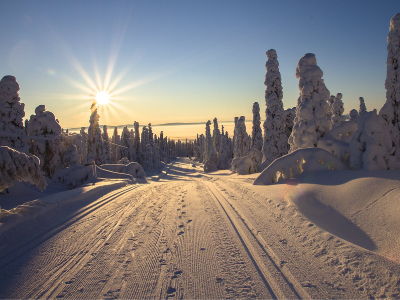 Zemeslode TEV | Ziemas klasika - slēpes!
